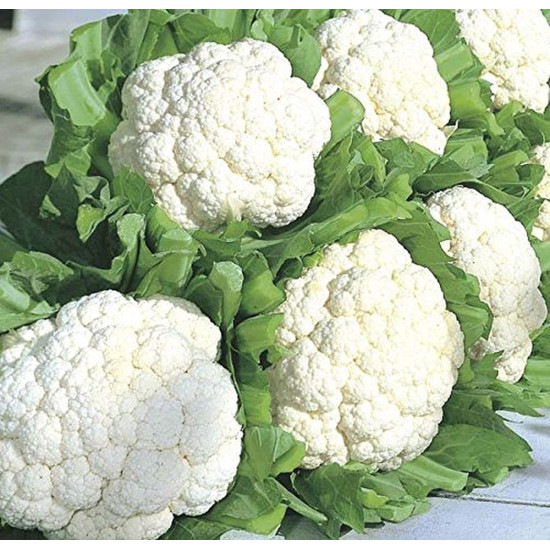 Cauliflower (Ful Gobhi)