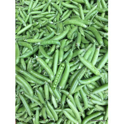 Green Peas (Hari Matar) Green Peas (Hari Matar)